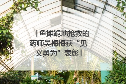 鱼摊跪地抢救的药师吴梅梅获“见义勇为”表彰