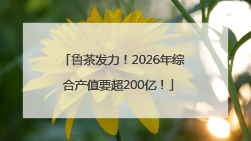 鲁茶发力！2026年综合产值要超200亿！