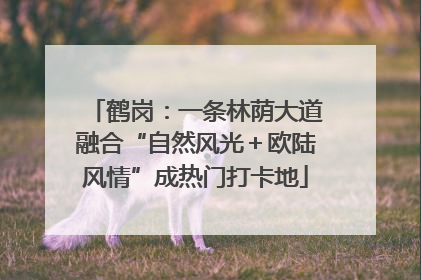 鹤岗：一条林荫大道融合“自然风光＋欧陆风情”成热门打卡地