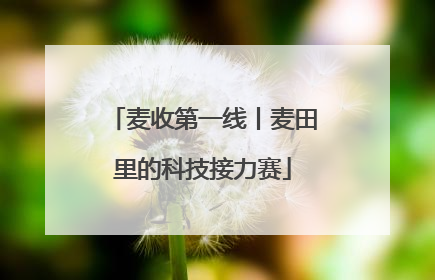 麦收第一线丨麦田里的科技接力赛