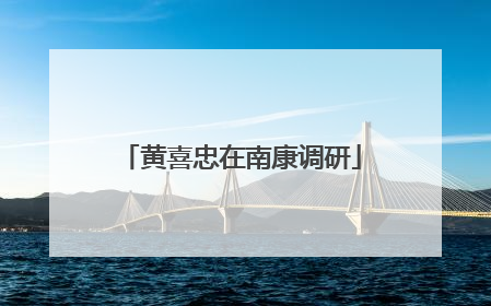 黄喜忠在南康调研