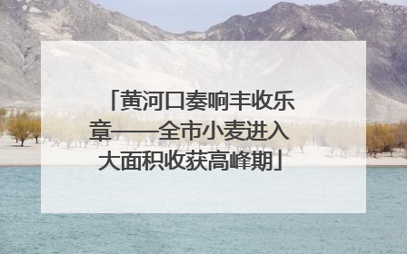 黄河口奏响丰收乐章——全市小麦进入大面积收获高峰期