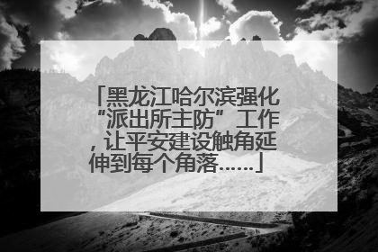 黑龙江哈尔滨强化“派出所主防”工作，让平安建设触角延伸到每个角落……
