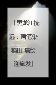 黑龙江抚远：画笔染稻田 墙绘迎旅发