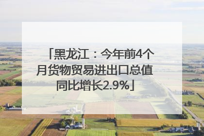 黑龙江：今年前4个月货物贸易进出口总值同比增长2.9%