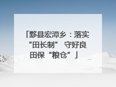 黟县宏潭乡：落实“田长制” 守好良田保“粮仓”
