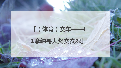 （体育）赛车——F1摩纳哥大奖赛赛况