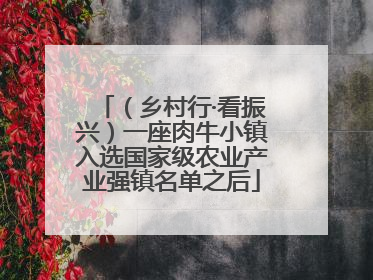 （乡村行·看振兴）一座肉牛小镇入选国家级农业产业强镇名单之后