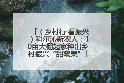 （乡村行·看振兴）科尔沁新农人：10亩大棚起家种出乡村振兴“甜蜜果”