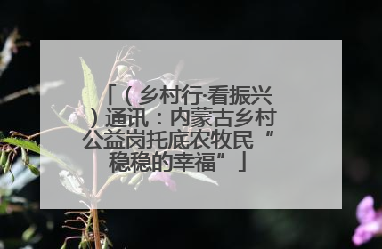 （乡村行·看振兴）通讯：内蒙古乡村公益岗托底农牧民“稳稳的幸福”