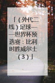 （外代二线）足球——世界杯预选赛：比利时胜威尔士（3）