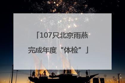 107只北京雨燕完成年度“体检”