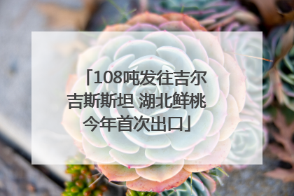 108吨发往吉尔吉斯斯坦 湖北鲜桃今年首次出口
