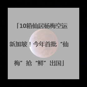 10箱仙居杨梅空运新加坡！今年首批“仙梅”抢“鲜”出国