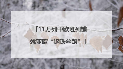 11万列中欧班列铺就亚欧“钢铁丝路”