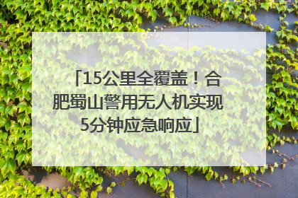 15公里全覆盖！合肥蜀山警用无人机实现5分钟应急响应