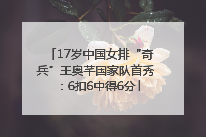 17岁中国女排“奇兵”王奥芊国家队首秀：6扣6中得6分