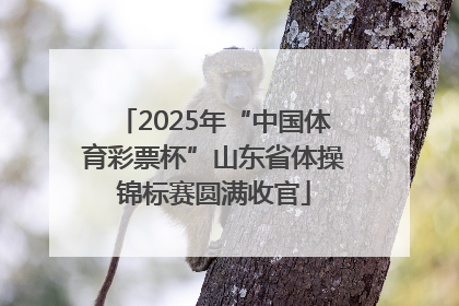 2025年“中国体育彩票杯”山东省体操锦标赛圆满收官