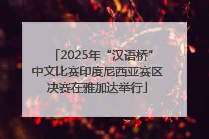2025年“汉语桥”中文比赛印度尼西亚赛区决赛在雅加达举行