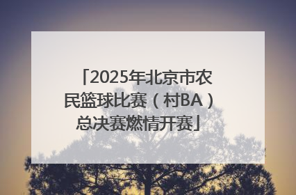 2025年北京市农民篮球比赛（村BA）总决赛燃情开赛