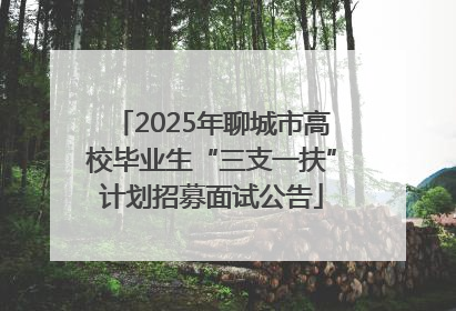 2025年聊城市高校毕业生“三支一扶”计划招募面试公告