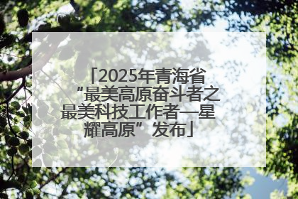 2025年青海省“最美高原奋斗者之最美科技工作者—星耀高原”发布
