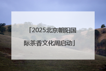 2025北京朝阳国际茶香文化周启动