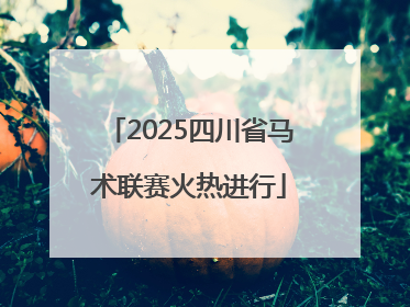 2025四川省马术联赛火热进行