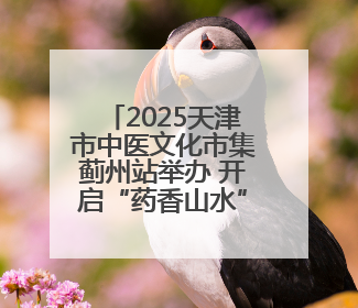 2025天津市中医文化市集蓟州站举办 开启“药香山水”康养之旅