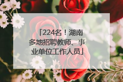 224名！湖南多地招聘教师、事业单位工作人员