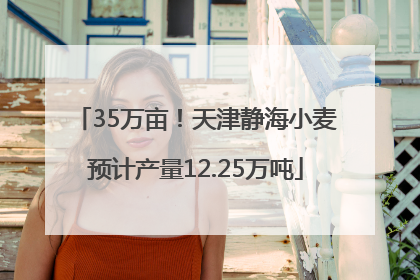 35万亩！天津静海小麦预计产量12.25万吨