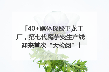 40+媒体探秘卫龙工厂，第七代魔芋爽生产线迎来首次“大检阅”