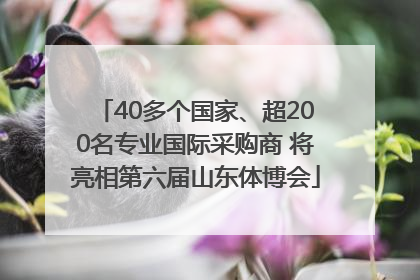 40多个国家、超200名专业国际采购商 将亮相第六届山东体博会