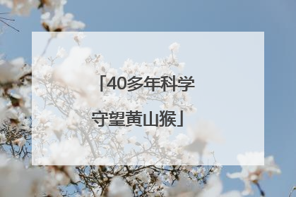 40多年科学守望黄山猴