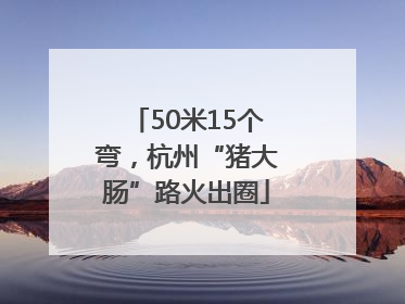 50米15个弯，杭州“猪大肠”路火出圈