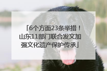 6个方面23条举措！山东11部门联合发文加强文化遗产保护传承