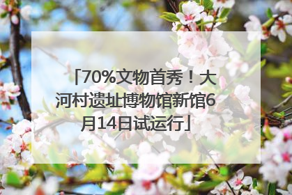 70%文物首秀！大河村遗址博物馆新馆6月14日试运行