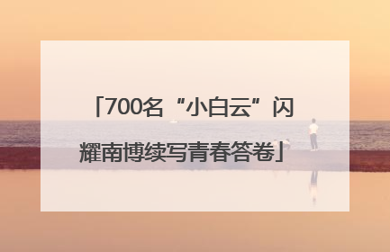 700名“小白云”闪耀南博续写青春答卷