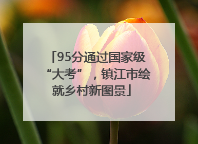 95分通过国家级“大考”，镇江市绘就乡村新图景