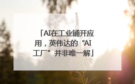 AI在工业铺开应用，英伟达的“AI工厂”并非唯一解