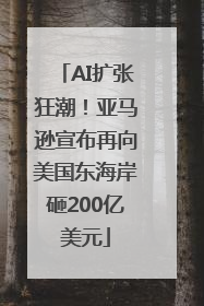 AI扩张狂潮！亚马逊宣布再向美国东海岸砸200亿美元