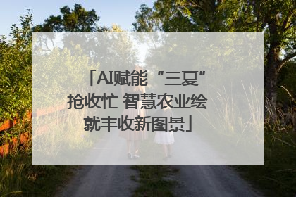 AI赋能“三夏”抢收忙 智慧农业绘就丰收新图景