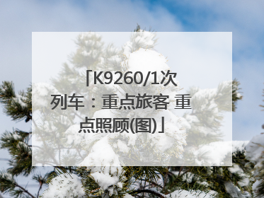 K9260/1次列车：重点旅客 重点照顾(图)