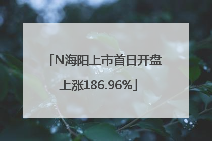 N海阳上市首日开盘上涨186.96%